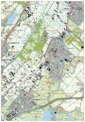 Topografische kaart Lisse